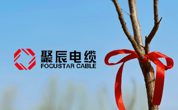 種一抹新綠，為地球充“植”
